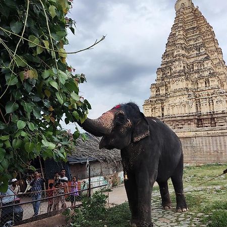 Temple View Guest House Hampi Esterno foto