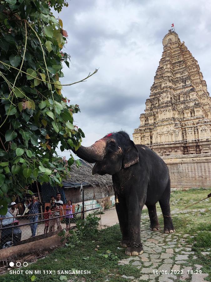 Temple View Guest House Hampi Esterno foto