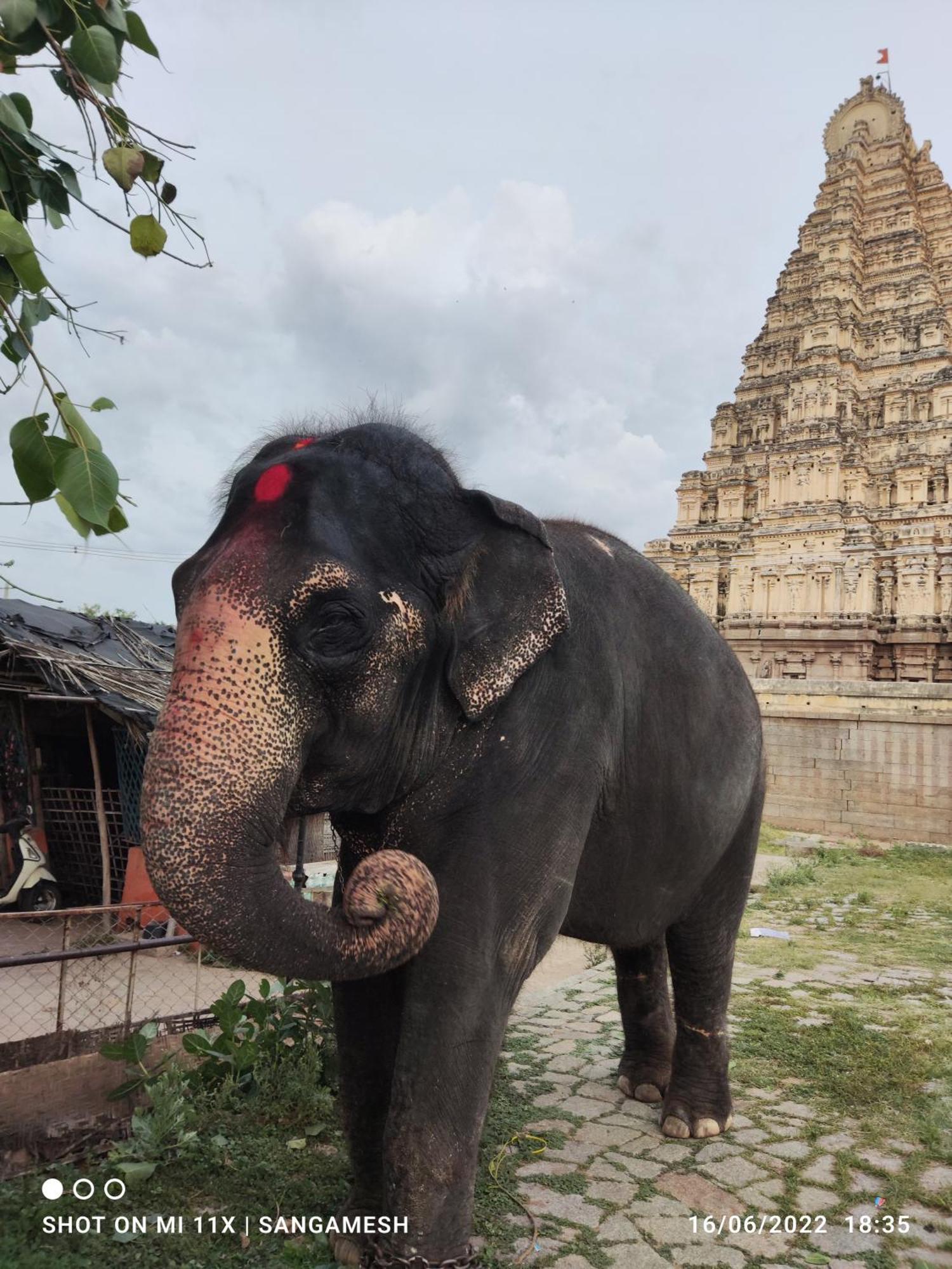 Temple View Guest House Hampi Camera foto